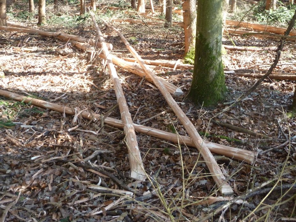 Bohnen-Tipi-Fichten-Stangen,Holz Rundholz(Fichte u.Lärche),Pfähle in Wolpertswende