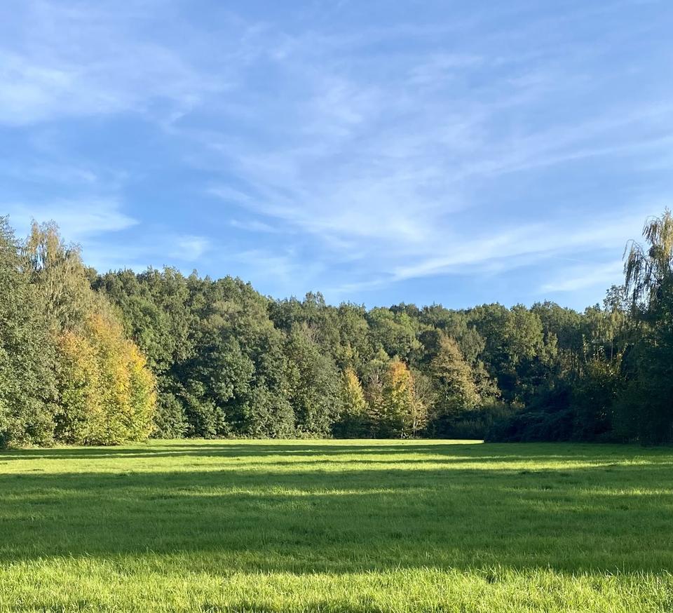 Einfamilienhaus mit separatem Acker- und Wiesengrundstück in Plotzen in Hochkirch