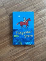 Buch Kinder Fliegender Steen Carlsen Bayern - Würzburg Vorschau