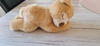 082535 Steif Stofftier Teddy liegend Bayern - Eckental  Vorschau