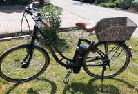 eBike E-Bike Raleigh Dover Classic Damen Niedersachsen - Melle Vorschau