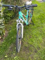 Fahrrad Damenfahrrad BULLS Wildcross 28 Zoll Baden-Württemberg - Singen Vorschau