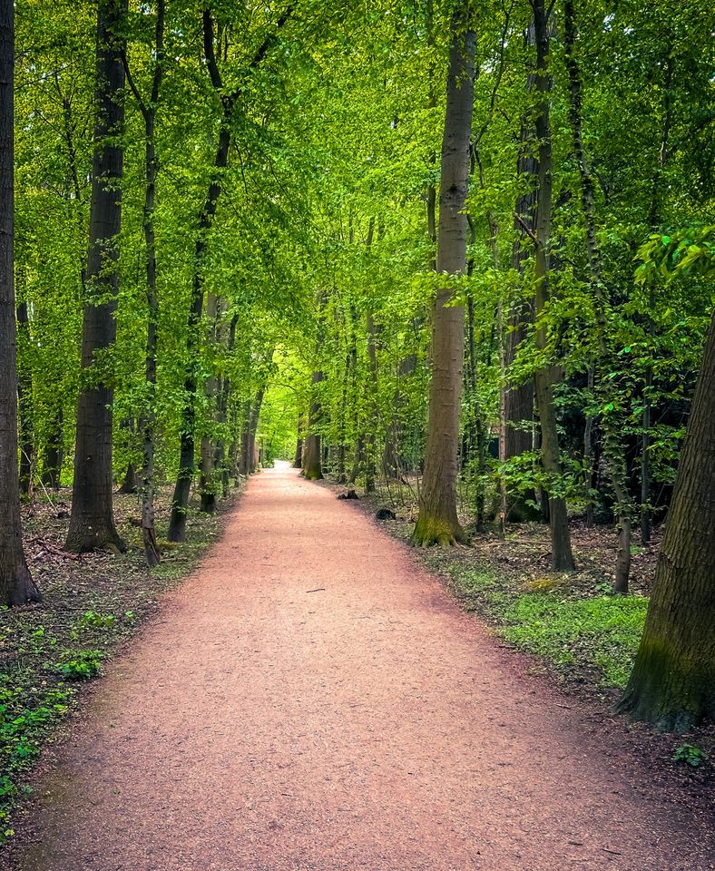 Suche Waldgrundstück in Köln
