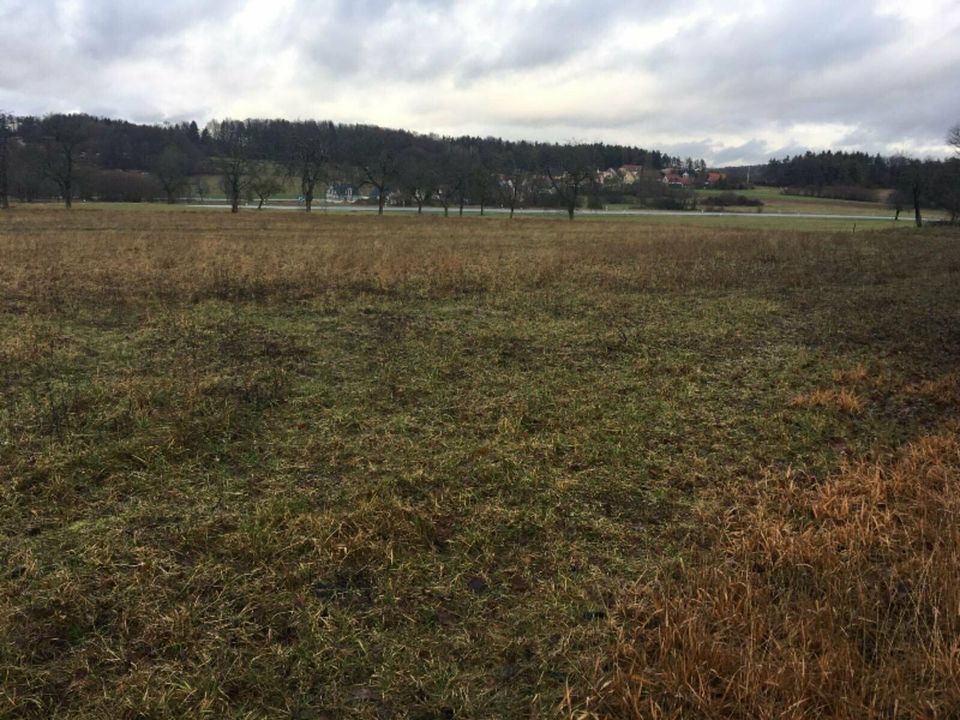 Wiesengrundstück in Bieberbach in Egloffstein