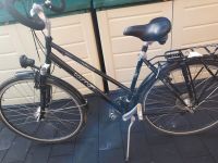 2x Fahrrad 28 Zoll Touring Star Nordrhein-Westfalen - Delbrück Vorschau