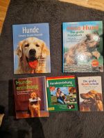 Bücher Hunde Erziehung Bayern - Fridolfing Vorschau