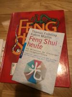 Buch Feng shui Niedersachsen - Axstedt Vorschau