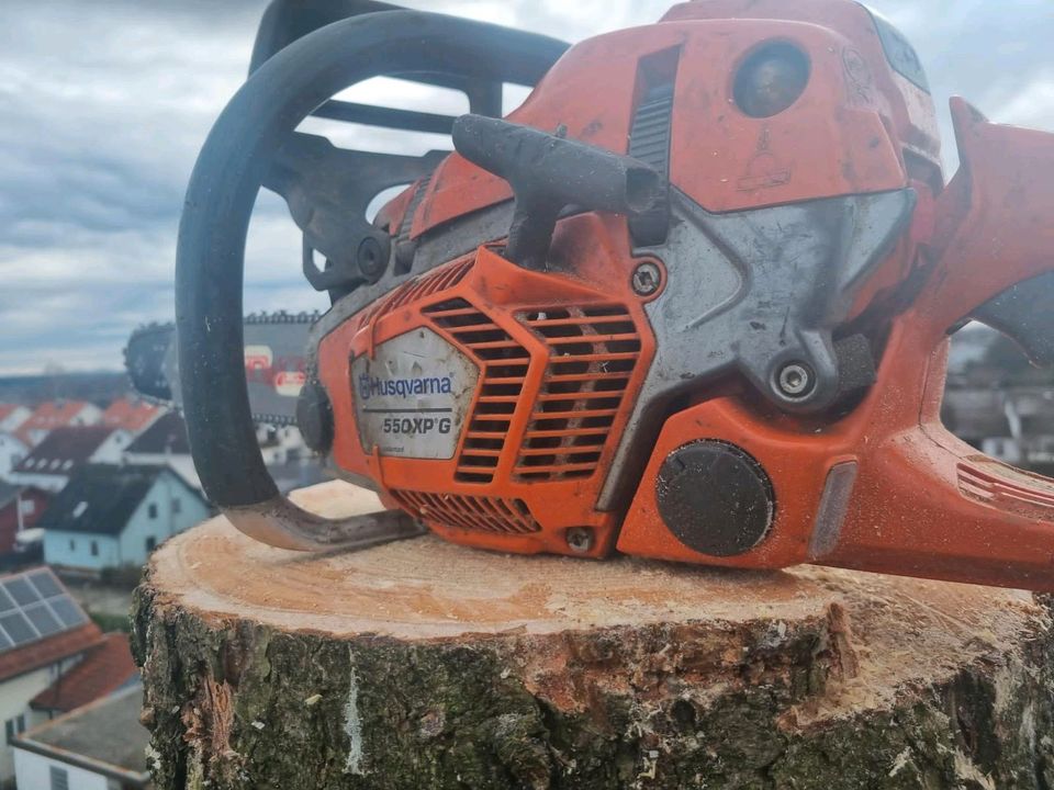 Sturmschäden beseitigen Baumpflege Gartenarbeiten Baumfällungen in Buchloe