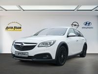 Opel Insignia 2.0 DI 4x4 Country Tour -Kundenauftrag Baden-Württemberg - Rosenfeld Vorschau