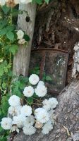 Altes Fenster  shabby ,upcycling Mecklenburg-Vorpommern - Walow Vorschau