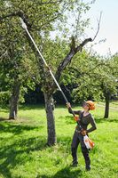 STIHL HTA 135 Akku-Hochentaster AP-Serie ***sofort verfügbar*** Baden-Württemberg - Malterdingen Vorschau