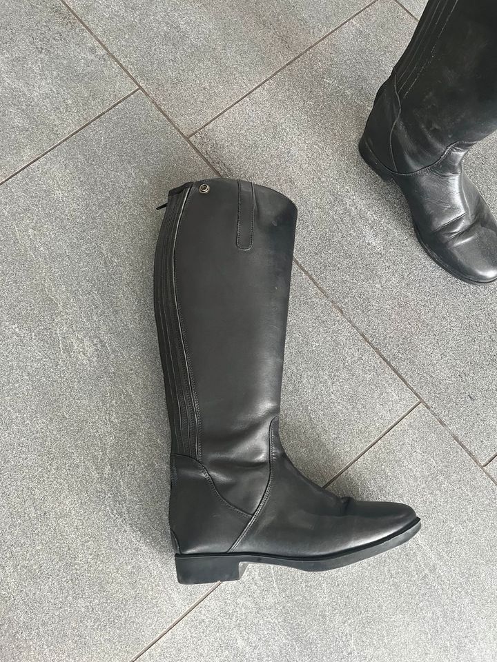 Reitstiefel hochwertig Steeds in Fürth