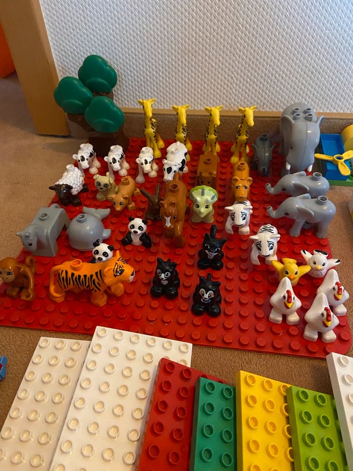 LEGO DUPLO XXL PAKET in Bad Bramstedt