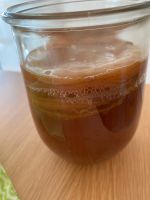 Kombucha Scooby Niedersachsen - Georgsmarienhütte Vorschau