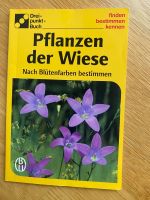 Drei-punkt-Buch, Pflanzen der Wiese Bayern - Baldham Vorschau