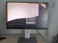 Dell PC Monitor U2415b, Defekt Berlin - Tempelhof Vorschau