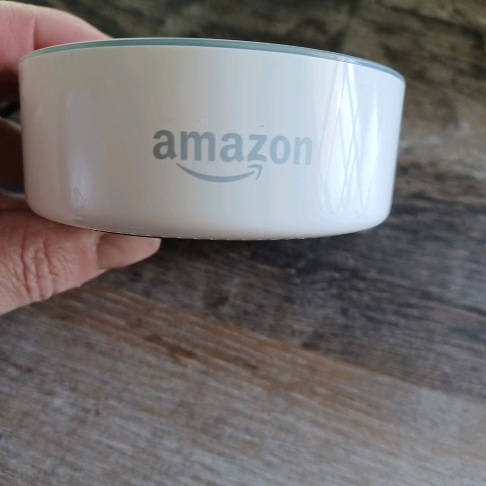 Amazon alexa in Waltrop