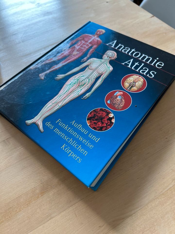 Anatomie Atlas in Mainz