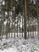 Suche kleinen Wald in Gemeinde Bischofsheim Bayern - Bischofsheim Vorschau