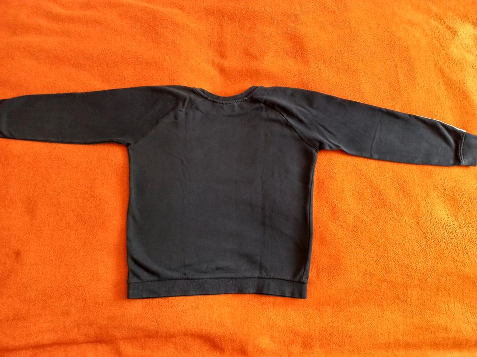 Pullover/ Hoodie Jungen Gr. 146/152 in Bingen