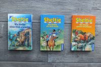 Sheltie/3x spannende Ponygeschichten/erster Lesespaß in Großdruck Dithmarschen - Heide Vorschau