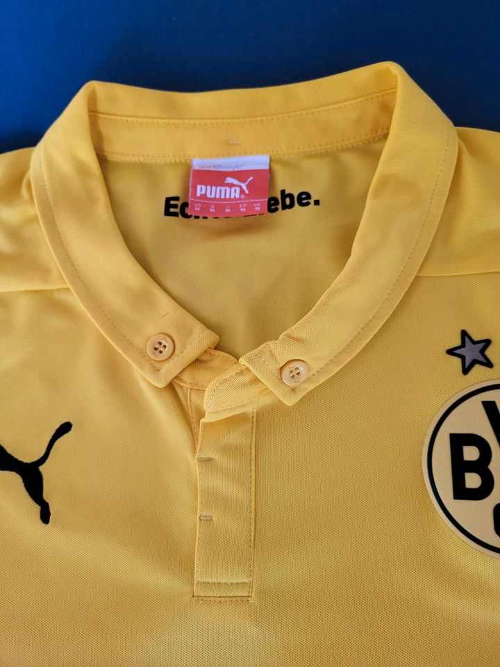 BvB Trikot, Borussia Dortmund Trikot Gr.M in Limbach-Oberfrohna