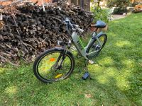 E-Bike Forca MTB ATB grau grün Sachsen - Wechselburg Vorschau