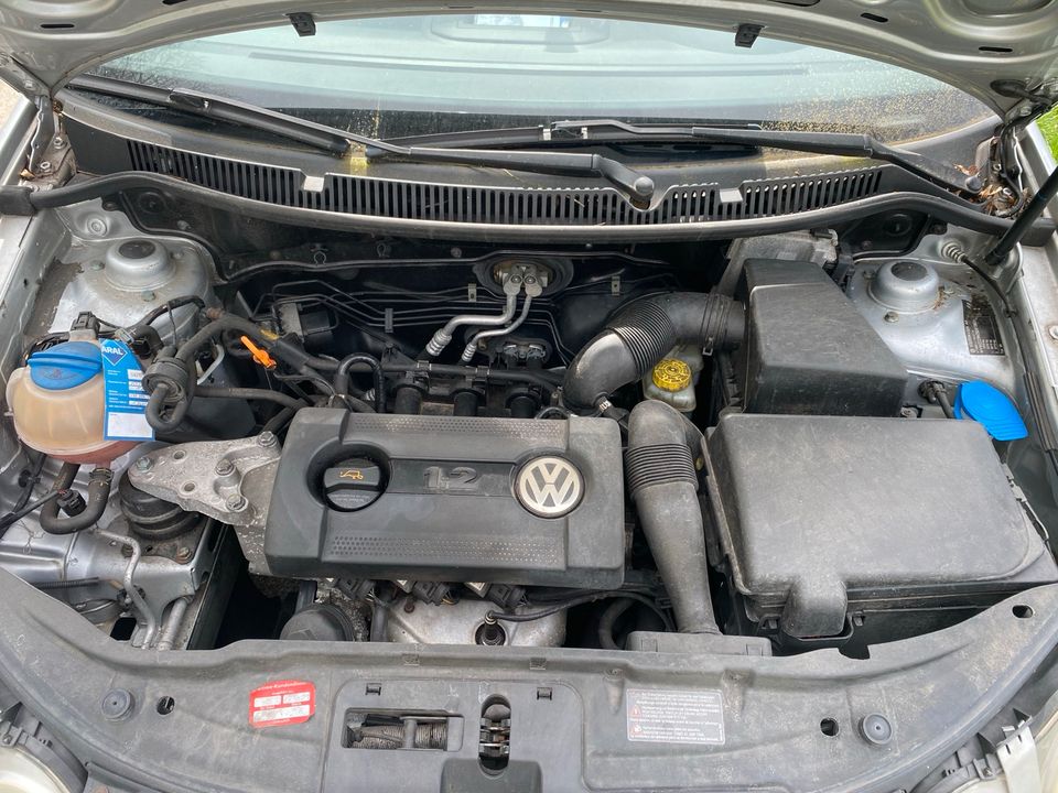 VW Polo 1.2 Bastler in Albachten