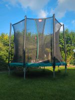 Berg Trampolin Favorit Green 270 mit Leiter Nordrhein-Westfalen - Oelde Vorschau