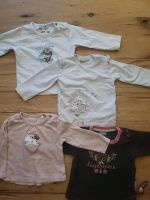 Steiff, Staccato, feetje, sigikid Shirts Münster (Westfalen) - Gelmer Vorschau