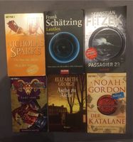 Romane, z.B. Schätzing, Fitzek, Sparks, Gordon usw Niedersachsen - Georgsmarienhütte Vorschau