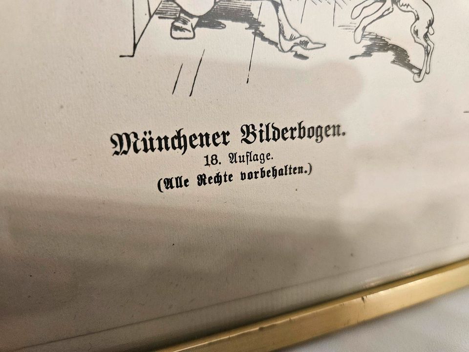 Die Hungerpille Wilhelm Busch Doktor Essen Münchener Bilderbogen in Haar
