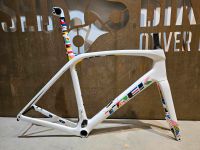 TREK DOMANE SLR RAHMENSET / PROJECT ONE / RENNRAD / DISC / 58CM Bayern - Raubling Vorschau