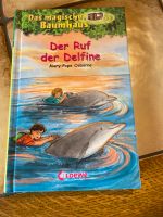 Das magische Baumhaus - Der Ruf der Delefine Bayern - Schwabach Vorschau