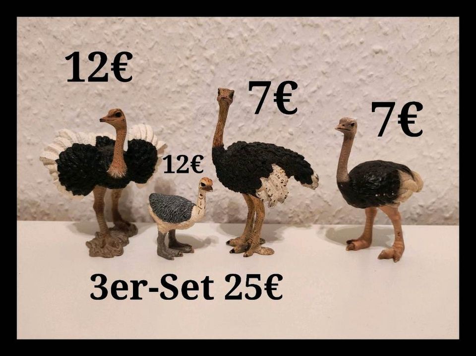 ❤️ Schleich - Adler Schnee-Eule Geier Strauß Wanderfalke Flughund in Berlin