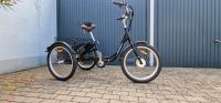 Elektrofahrrad Dreirad Nordrhein-Westfalen - Castrop-Rauxel Vorschau