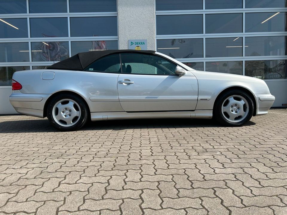 Mercedes-Benz CLK 230 Cabrio *SHZ*Automatik*Klima* in Flensburg