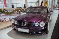 SUCHE: Designo CL 55 AMG Hamburg-Mitte - Hamburg Billstedt   Vorschau