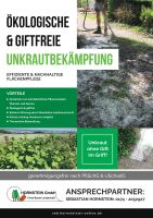 Ökologische Unkrautbekämpfung, giftfrei, Pflastersteine , Unkraut Baden-Württemberg - Bad Schussenried Vorschau