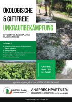 Ökologische Unkrautbekämpfung,giftfrei,Pflaster,Unkraut,Knöterich Baden-Württemberg - Bad Schussenried Vorschau