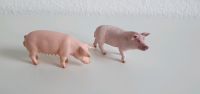 schleich schweine Niedersachsen - Hambühren Vorschau