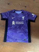 Fusballtrikot Nike FC Liverpool lila Herren Shirt Gr. M Sachsen - Radebeul Vorschau