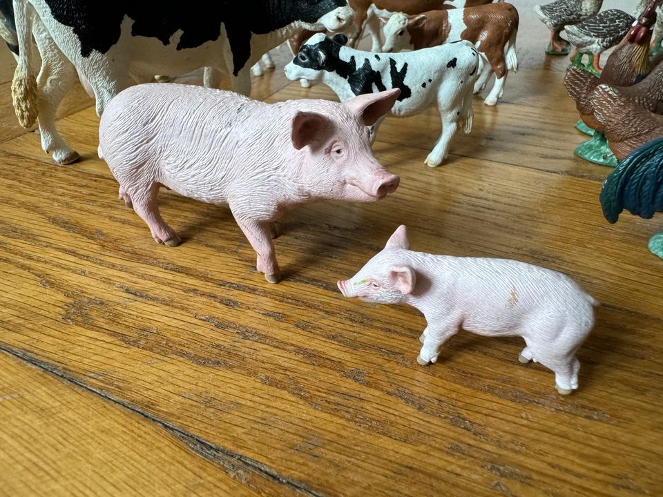 Schleich Großes Bauernhof-Set 28xKuh Kalb Schwein Huhn Katze Ente in Berlin