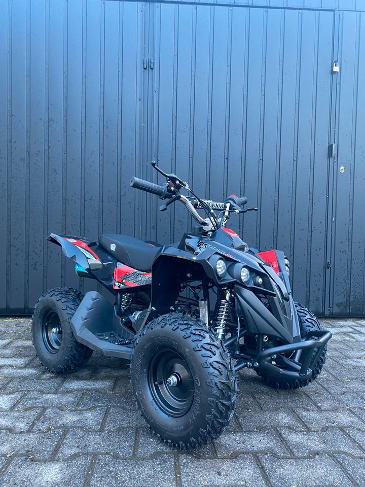 Pocket Bike Quad 50ccm NEU Kinderquad Mini Quad ATV pocketbike in Aschaffenburg