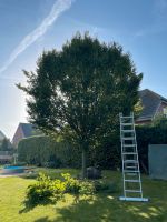 Gartenarbeit, Heckenschnitt, Baum und Strauchschnitt Sommersdorf (Börde) - Marienborn Vorschau