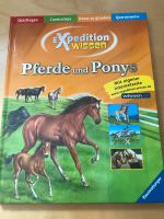 Kinderlexikon Pferde und Ponys Baden-Württemberg - Schwetzingen Vorschau