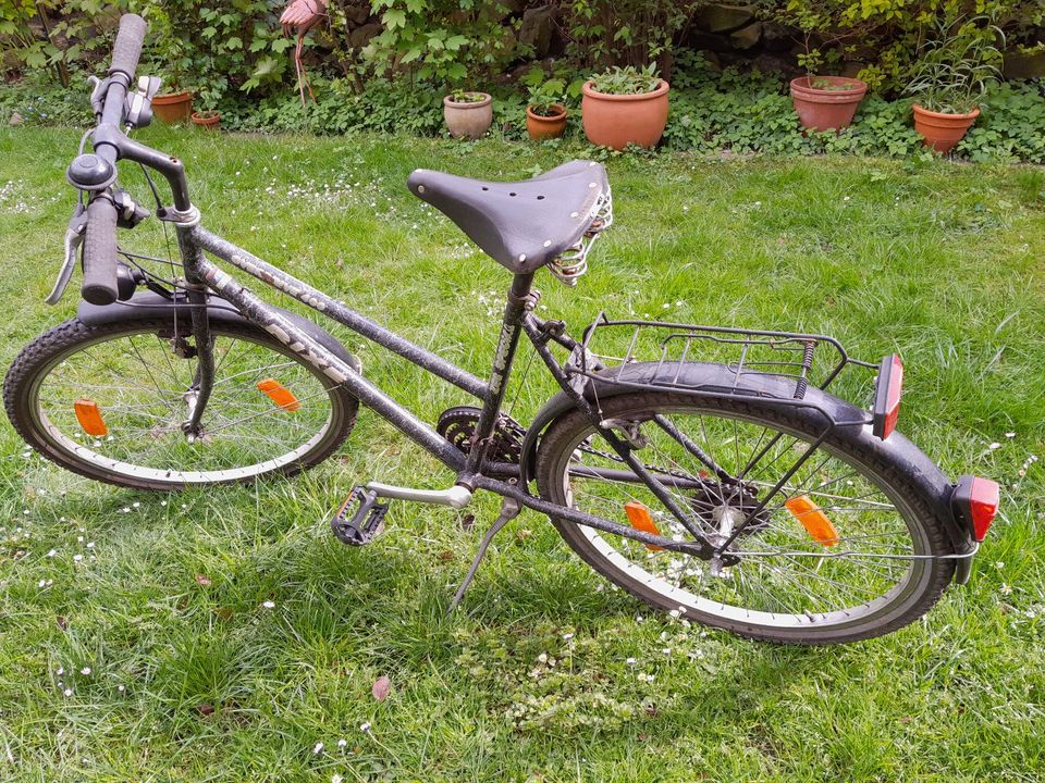 Fahrrad Damenrad in Osnabrück