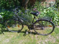 Fahrrad Damen Schleswig-Holstein - Itzehoe Vorschau