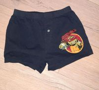 Turtles Boxershorts, Gr.128, top Zustand Sachsen - Trebsen Vorschau