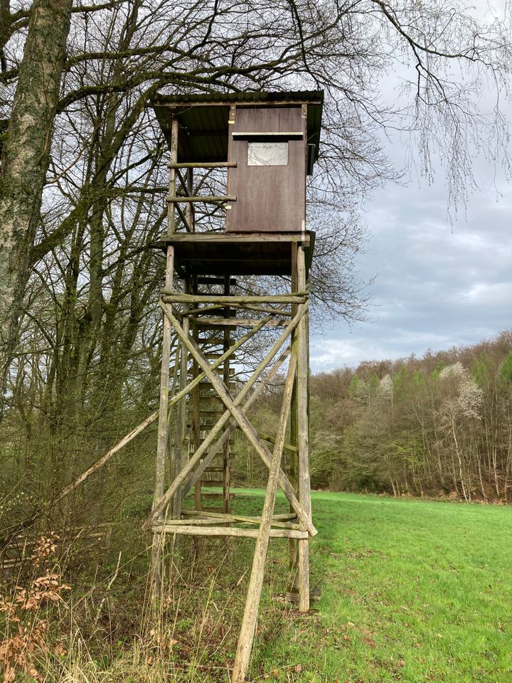 Jagdkanzel mit Jägersteg in Bad Vilbel